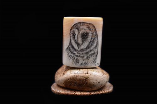 OWL SCRIMSHAW